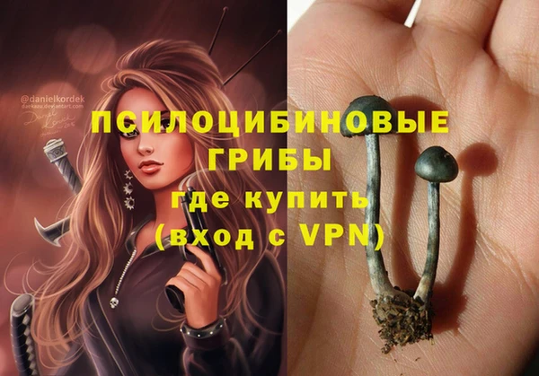 МДПВ Новодвинск