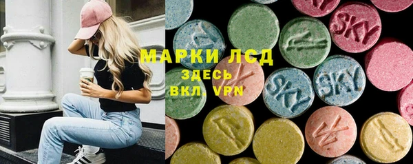 a pvp Новозыбков