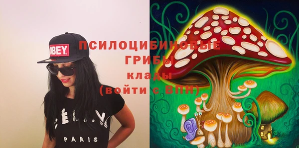 МДПВ Новодвинск